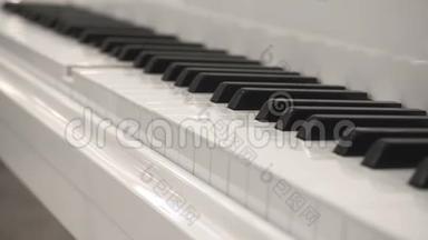 没有钢琴家的白色钢琴。 弹钢琴本身。 关闭侧视